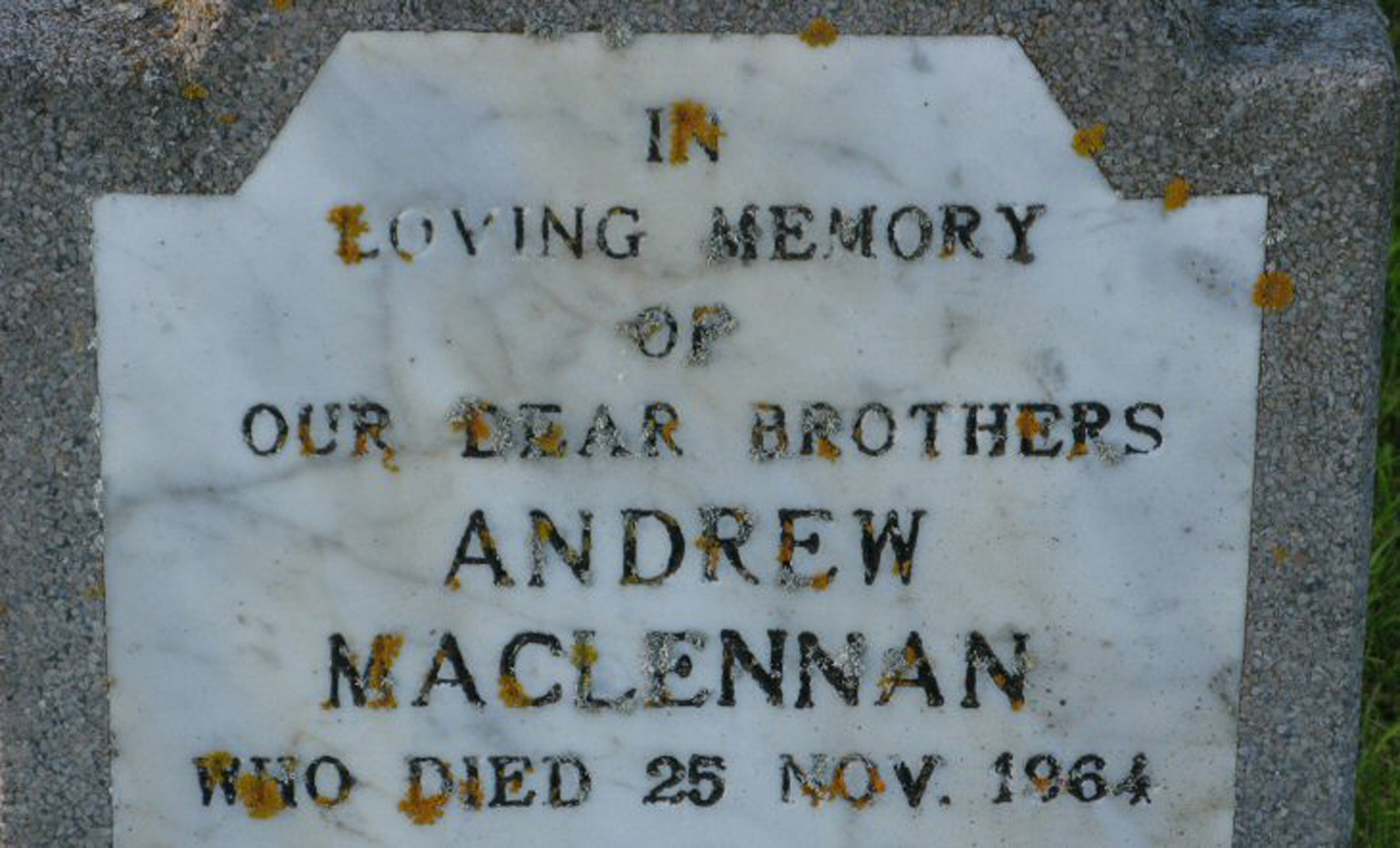 Photo of headstones/Andrew MacLennan died 1964 MI Tore1
